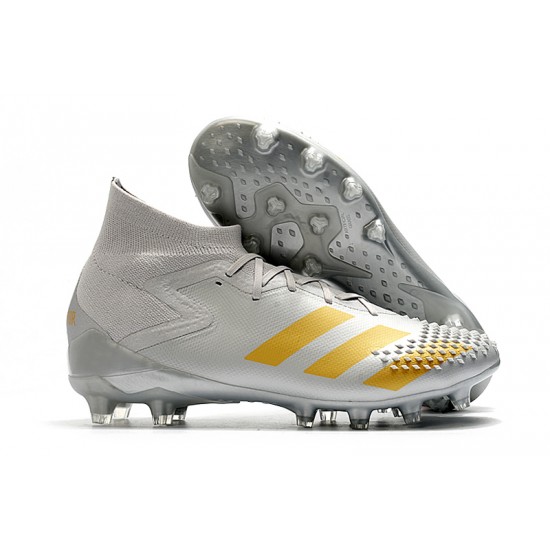 Explorar  Botas de fútbol Adidas Predator Mutator 20.1 AG Metallic Plata Gold