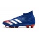Comprar ahora  Botas de fútbol Adidas Predator Mutator 20.1 AG Azul Blanco Rojo