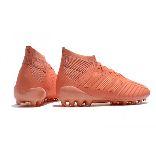 Explorar  Botas de fútbol Adidas Predator 18.1 AG Rosado