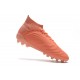 Explorar  Botas de fútbol Adidas Predator 18.1 AG Rosado