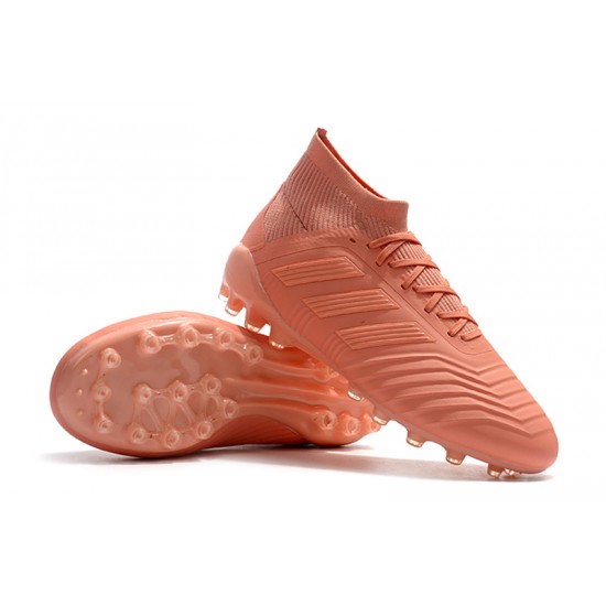 Explorar  Botas de fútbol Adidas Predator 18.1 AG Rosado