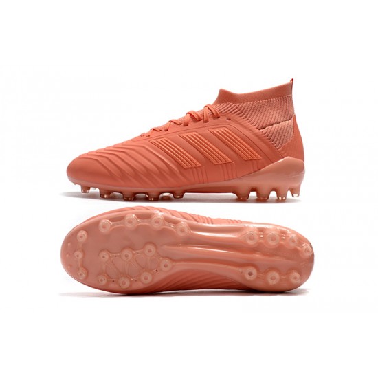 Explorar  Botas de fútbol Adidas Predator 18.1 AG Rosado