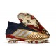 Comprar  Botas de fútbol Adidas Predator 19+ FG 25th Anniversaire Dorado Plata Negro