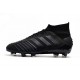 Descubrir  Botas de fútbol Adidas Predator 19.1 FG 25th Anniversaire Todo negro