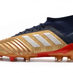 Botas de fútbol Adidas Predator 19.1 FG 25th Anniversaire Dorado Negro Plata