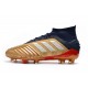 Comprar  Botas de fútbol Adidas Predator 19.1 FG 25th Anniversaire Dorado Negro Plata