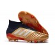 Comprar  Botas de fútbol Adidas Predator 19.1 FG 25th Anniversaire Dorado Negro Plata