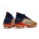 Comprar  Botas de fútbol Adidas Predator 19.1 FG 25th Anniversaire Dorado Negro Plata
