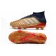 Comprar  Botas de fútbol Adidas Predator 19.1 FG 25th Anniversaire Dorado Negro Plata